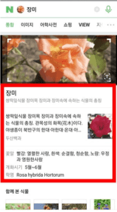 꽃-이름-찾기-네이버3